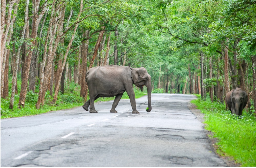 kerala explore